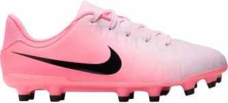 Nike legend 10 academy fg/mg DV4337-601