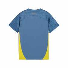 Puma camiseta Neymar jr 659711 10