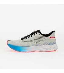 Mizuno zapatilla wave skyrise 6 J1GC250906