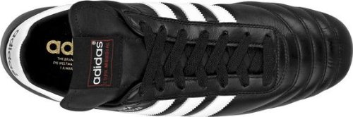 Botas adidas copa mundial FG