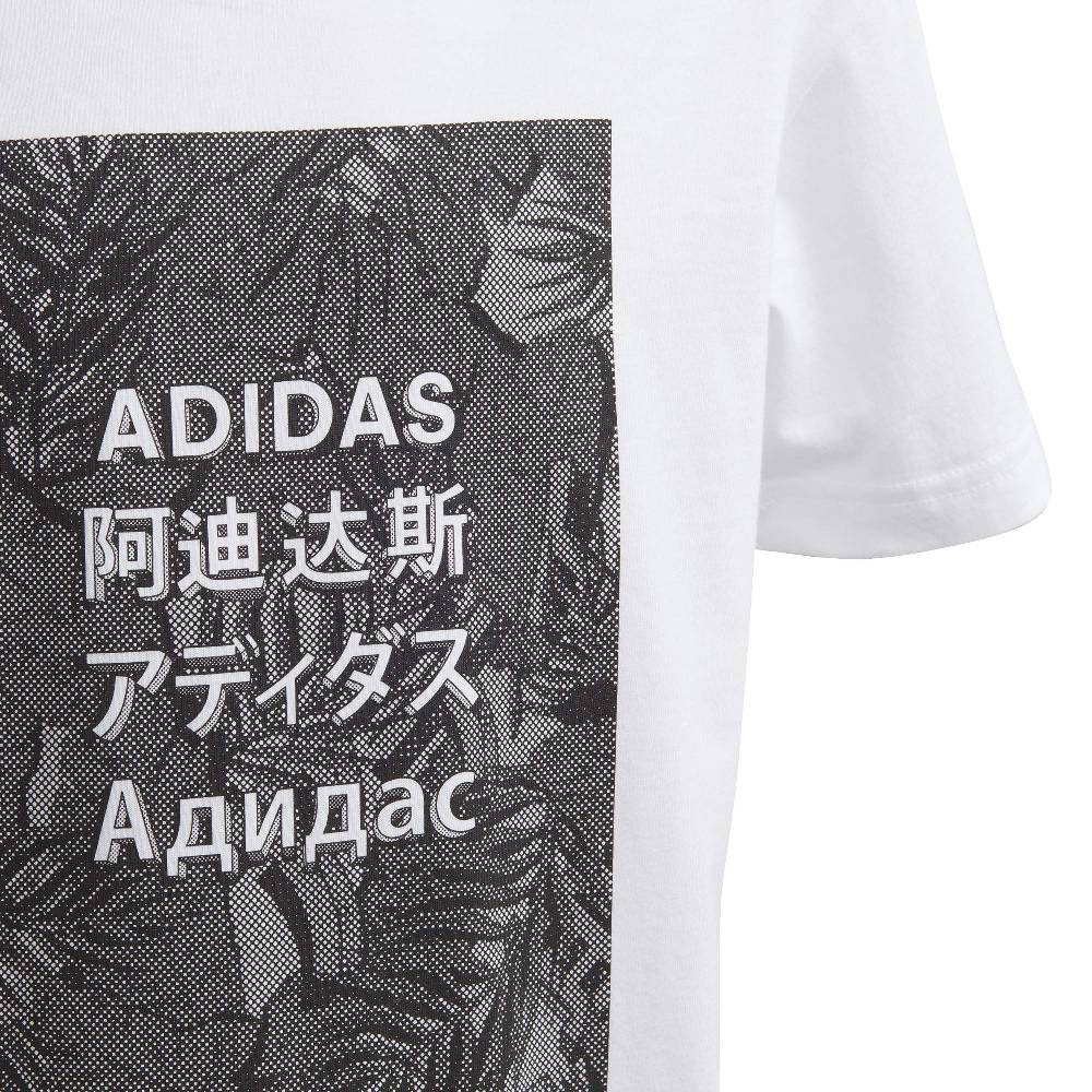 Aidas camiseta jr jb a tp
