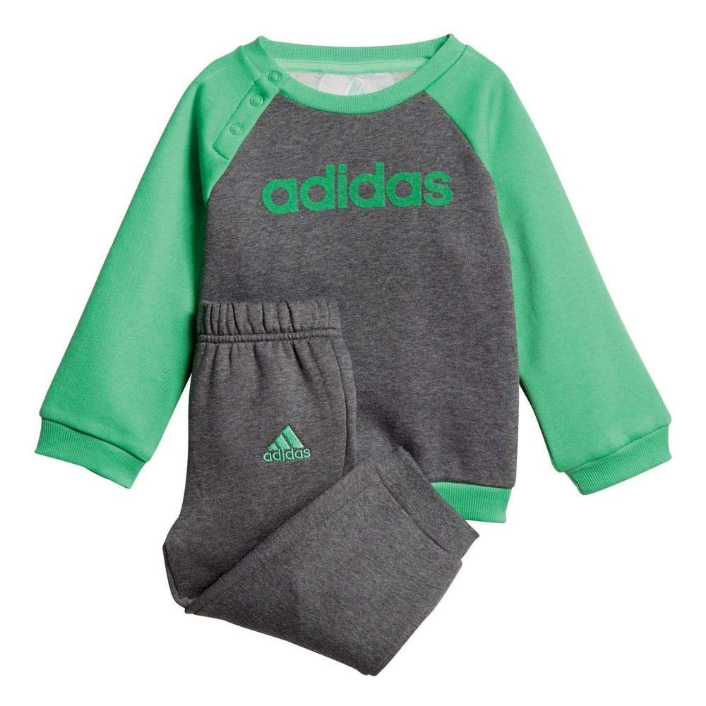 Chandal adidas bb lin joog gris verde