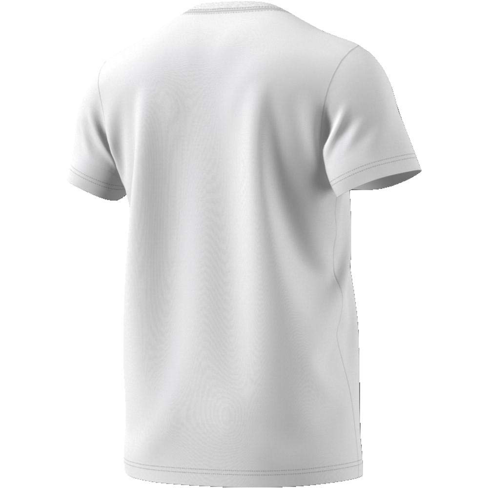 Adidas camiseta de caballero lin scatter dv3043