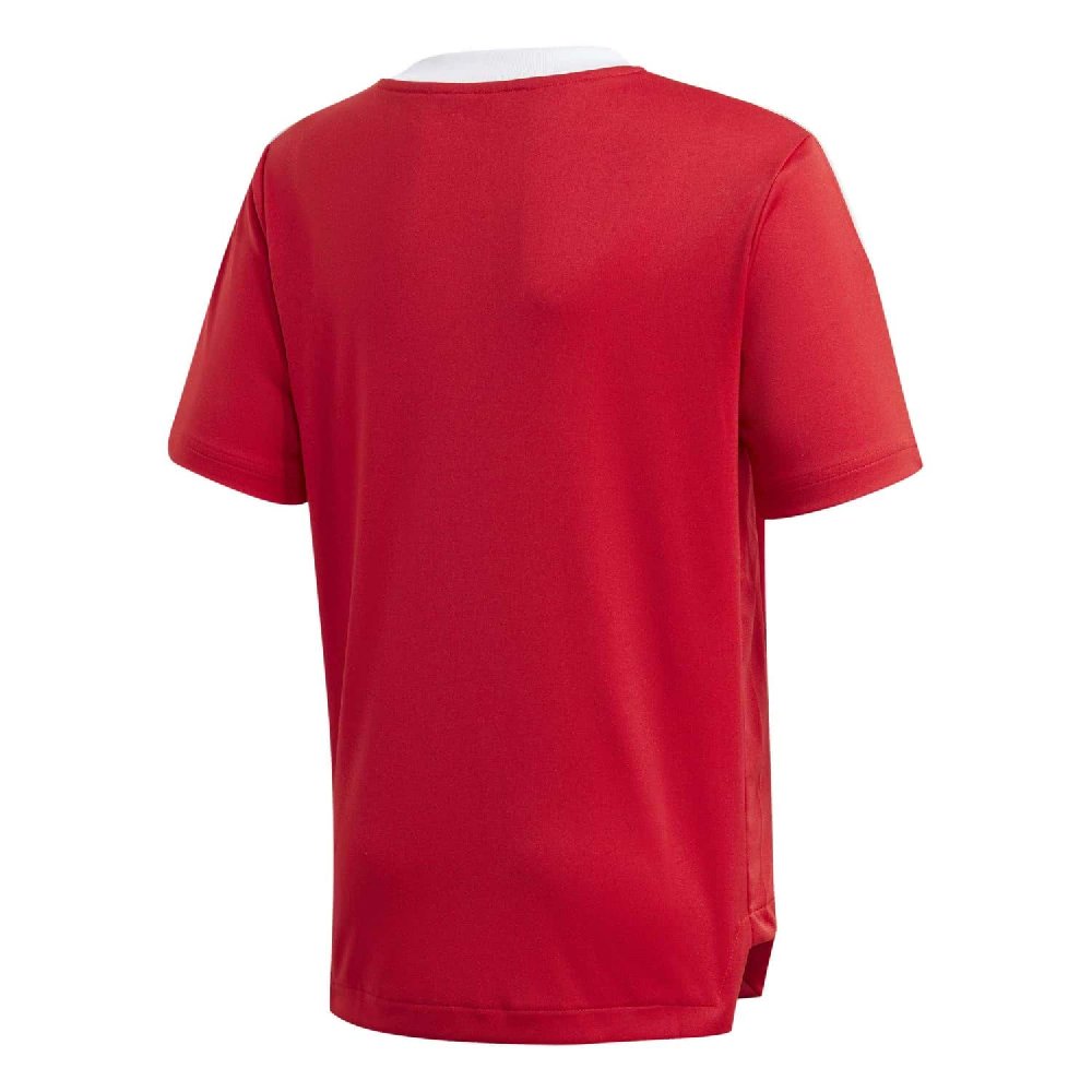 Adidas camiseta jr tiro21 GM7576