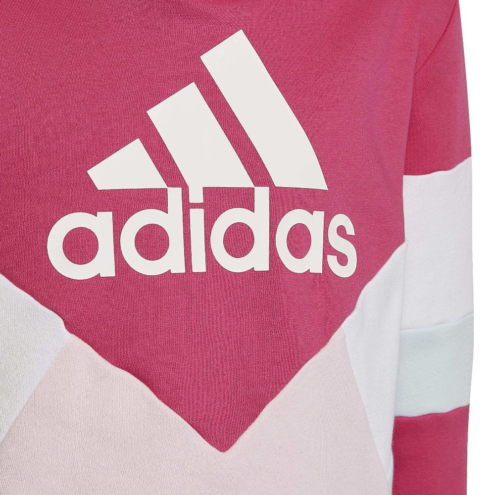 Adidas sudadera jniña HN8554